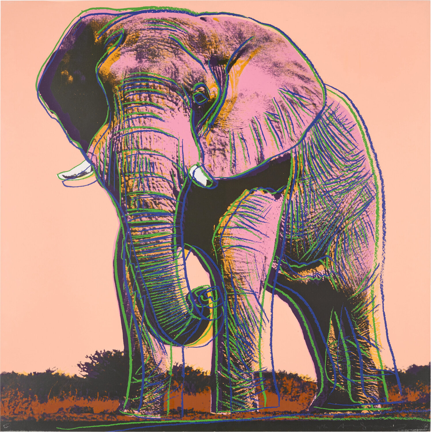 Endangered Species: African Elephant Andy Warhol Stampa in vendita