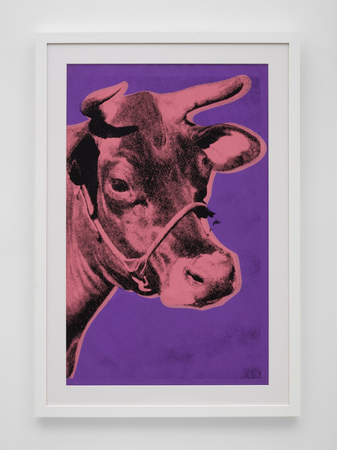 Cow (F&S 12A purple background) Andy Warhol Stampa in vendita