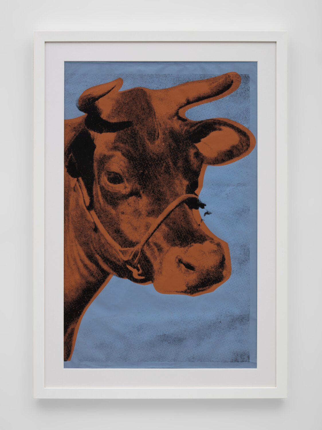 Cow (11a  blue background) Andy Warhol Afdruk te koop