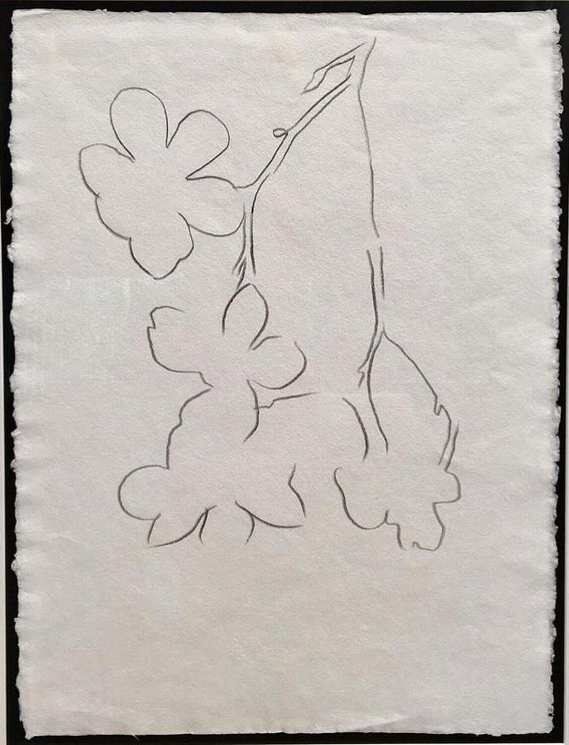 Flowers Andy Warhol Work on Paper for sale
