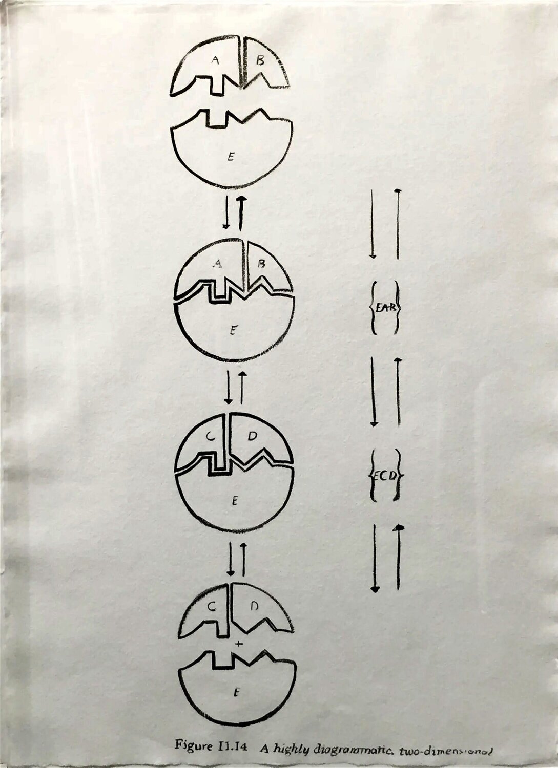 Physiological Diagram Andy Warhol Work on Paper for sale