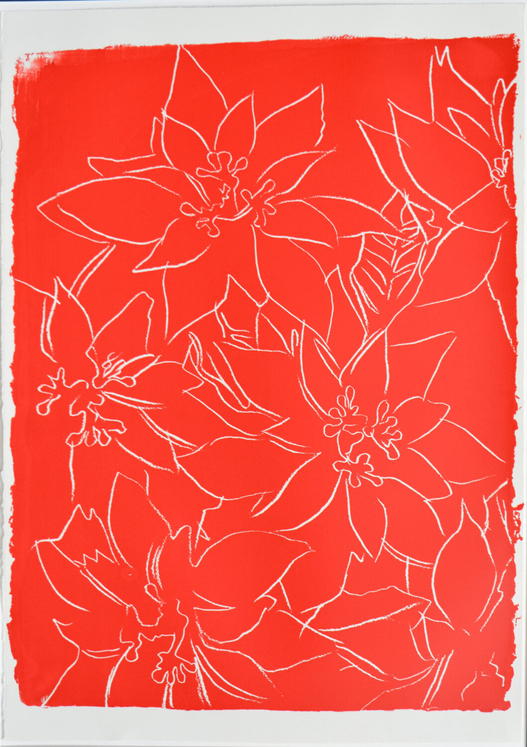 Poinsettias (F.&S. IIIA.50 [a]) Andy Warhol Stampa in vendita