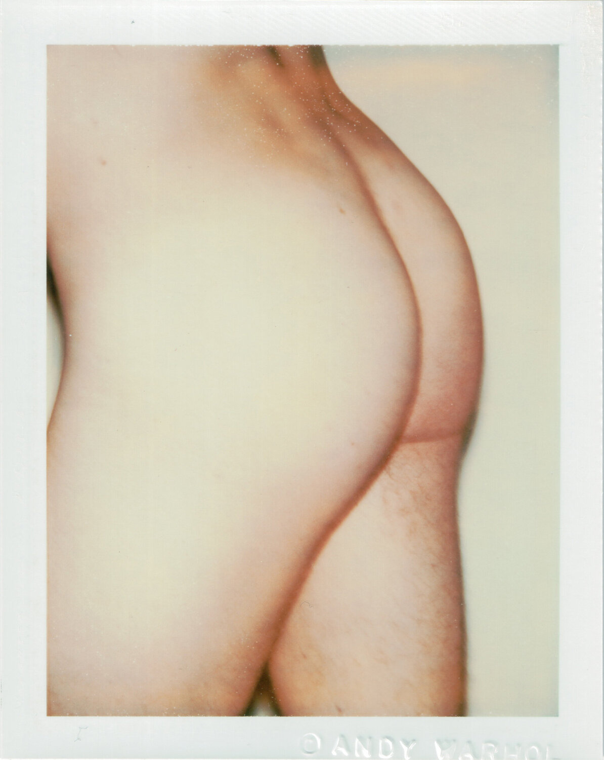 Nude Male Model Andy Warhol Fotografie te koop