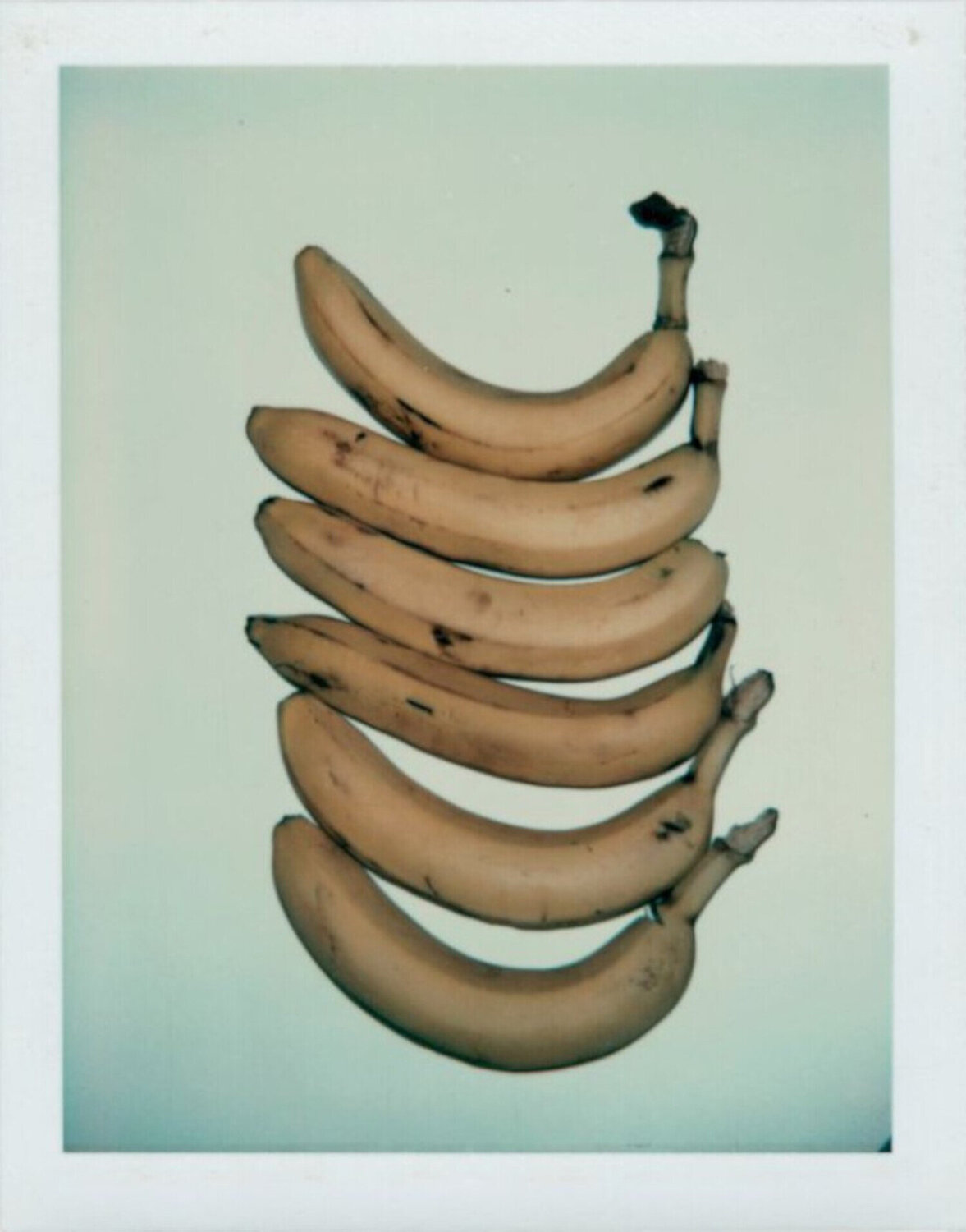 Bananas Andy Warhol Fotografie te koop
