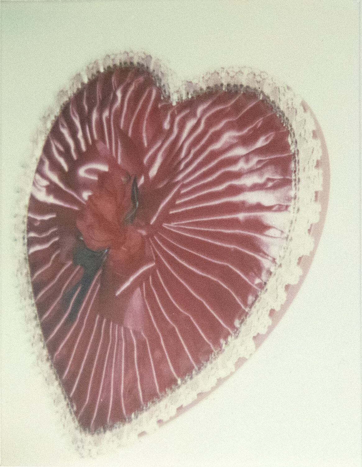 Candy Box Andy Warhol Fotografie te koop