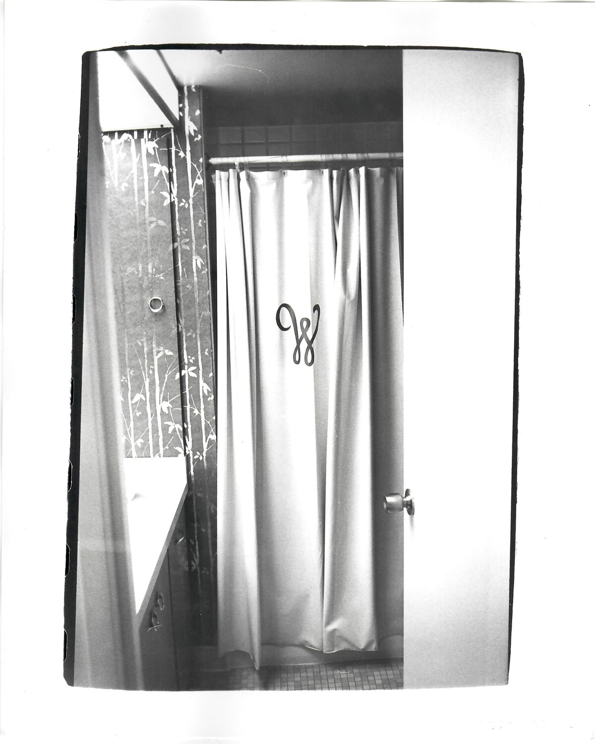 Shower Curtain Andy Warhol Fotografia in vendita