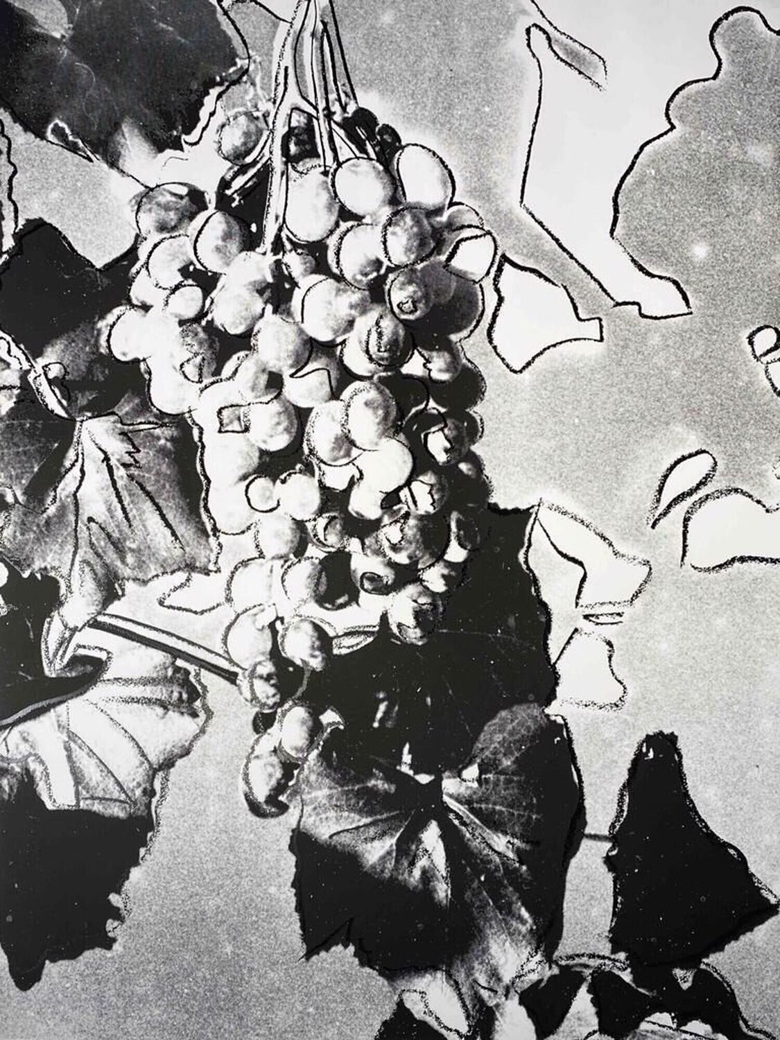 Grapes Andy Warhol Afdruk te koop
