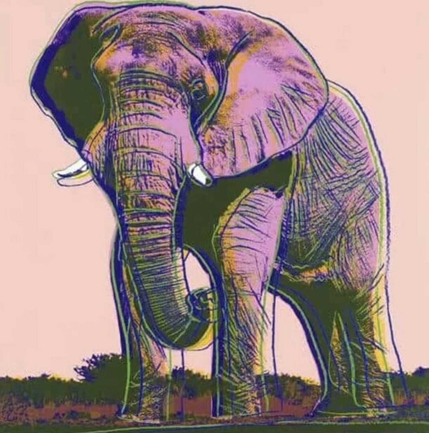 African Elephant (Endangered species) (F.S II. 293) Andy Warhol Druck zu verkaufen