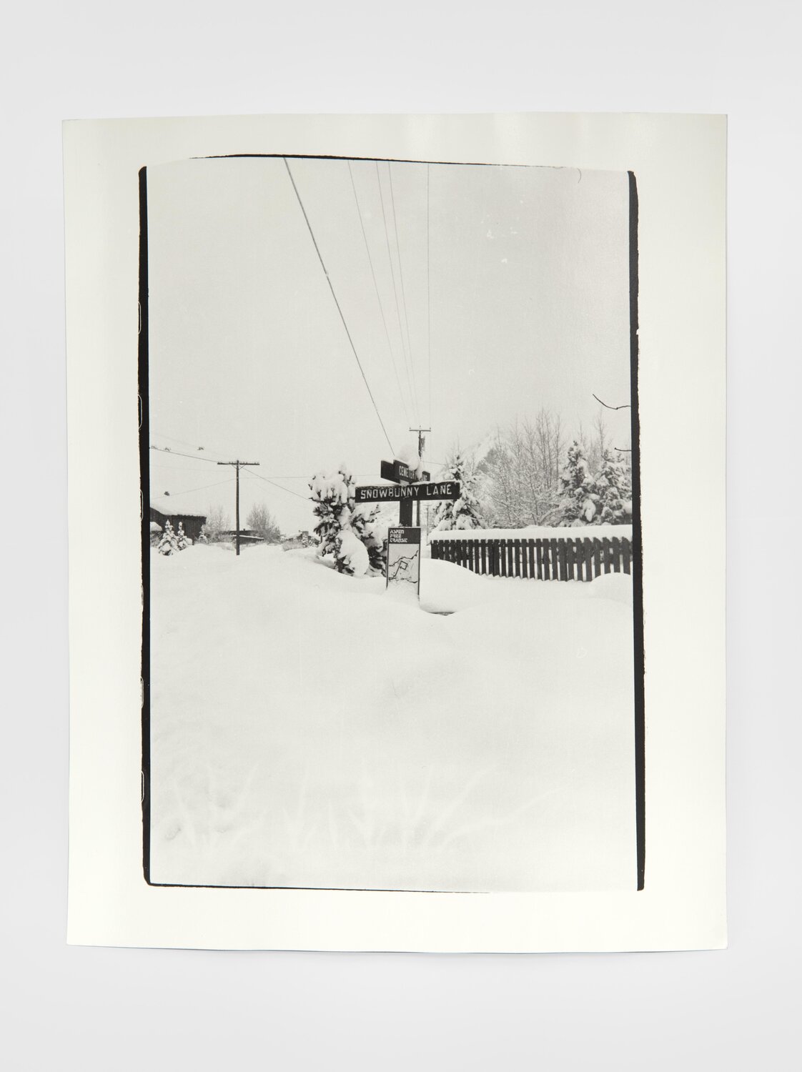 Aspen Colorado Street Signs Andy Warhol Fotografie zu verkaufen