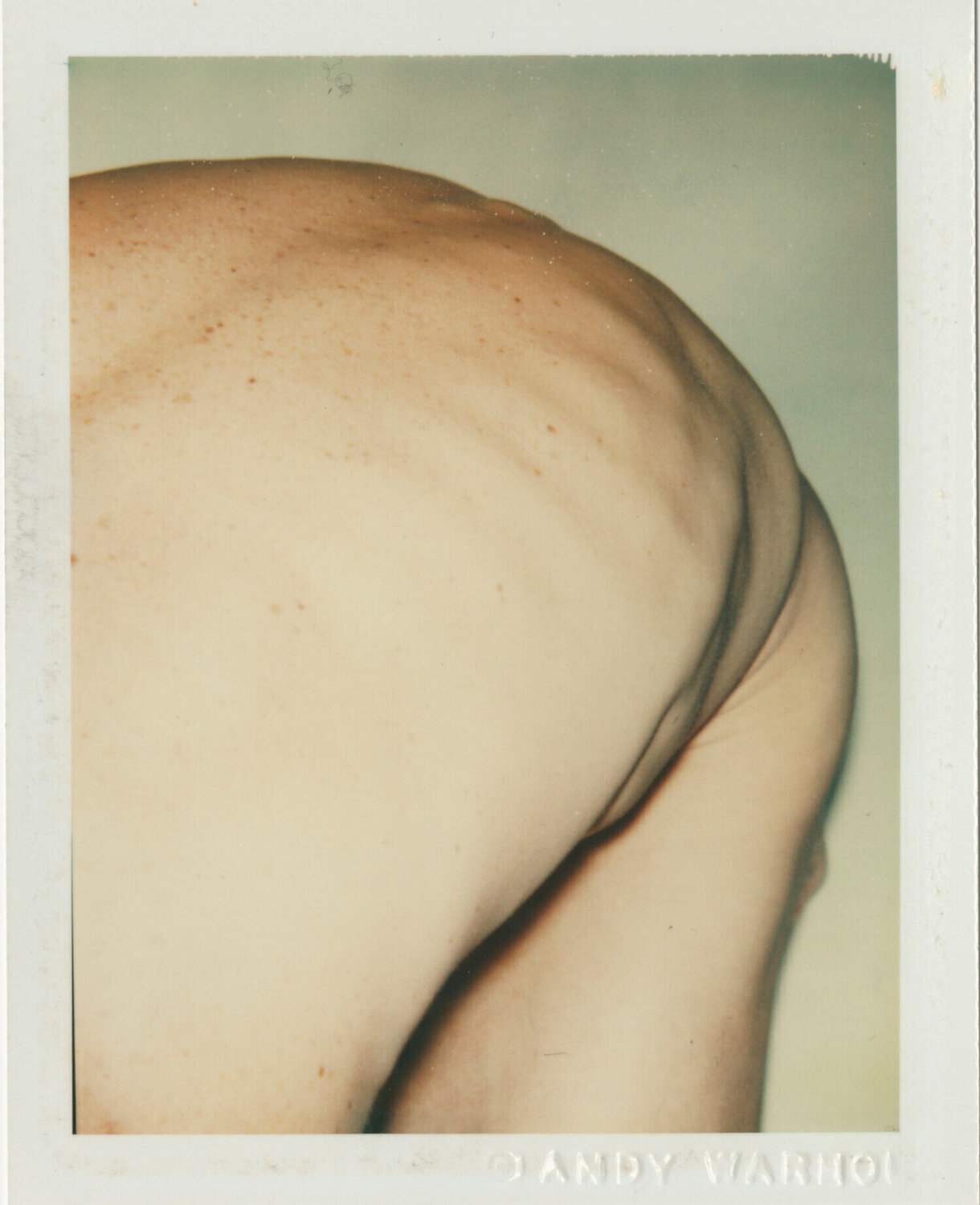 Sex Parts and Torsos Andy Warhol Fotografia in vendita