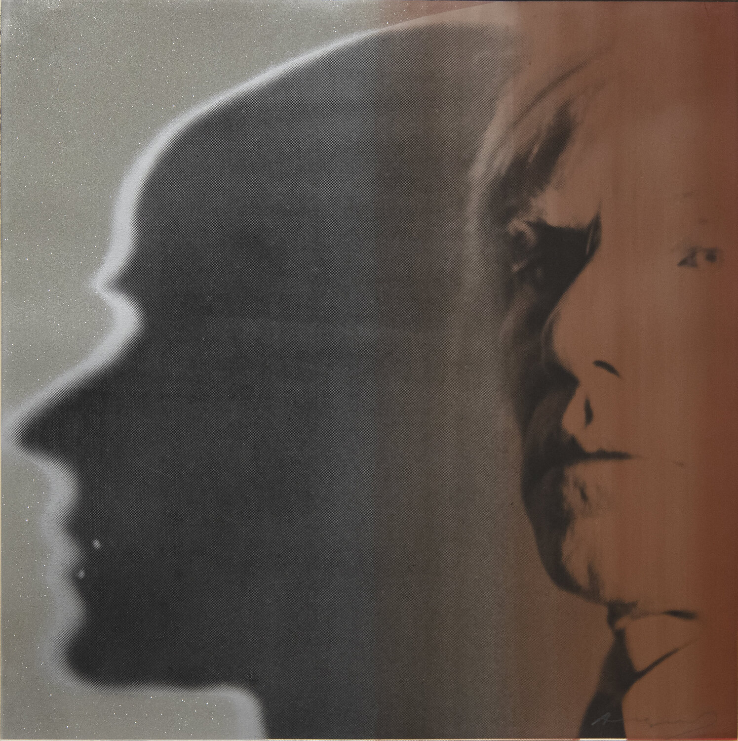 The Shadow Andy Warhol Stampa in vendita