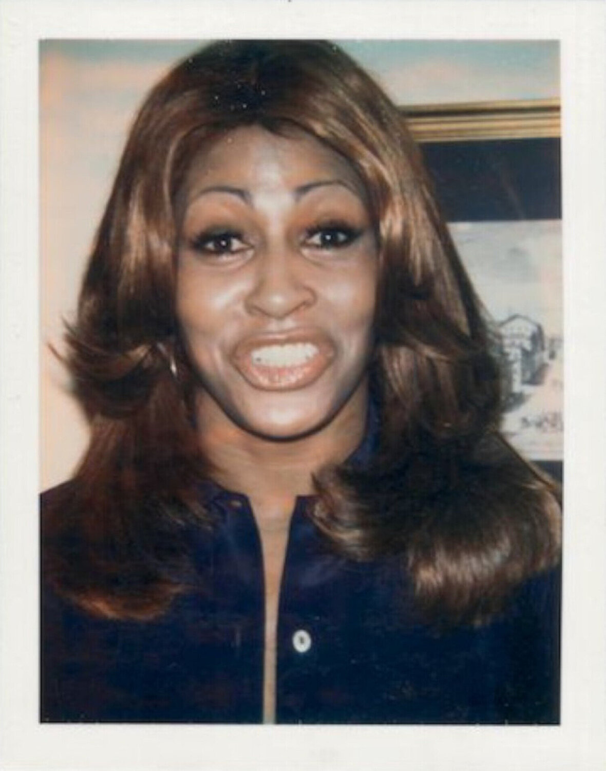 Tina Turner Andy Warhol Fotografia in vendita