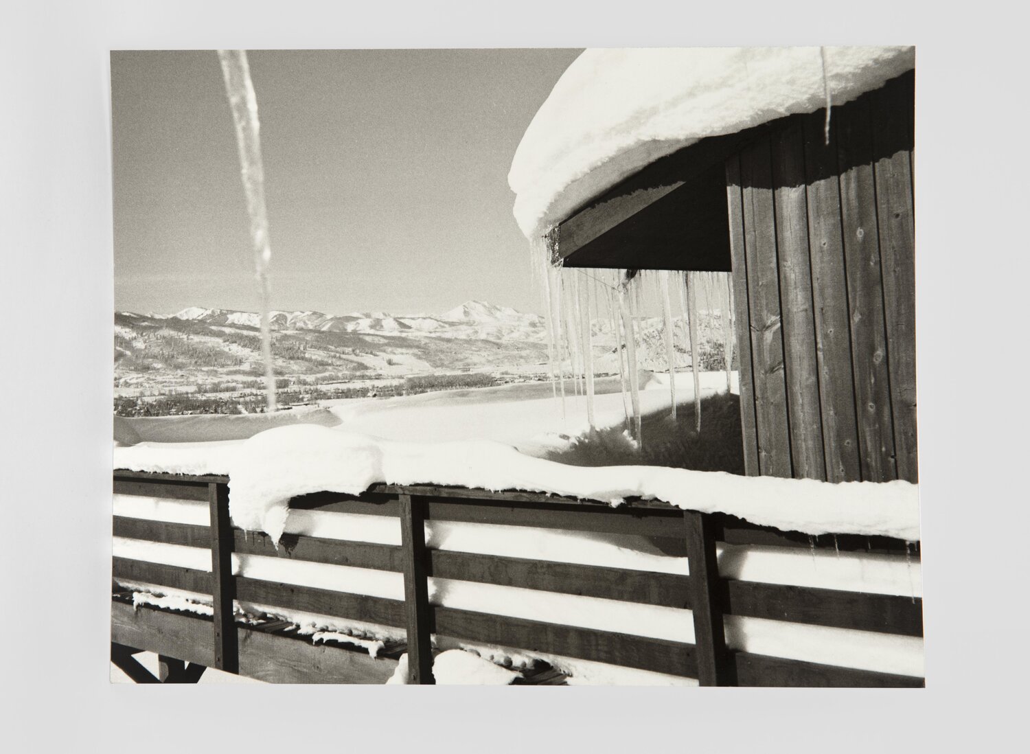 Aspen Colorado Landscape Andy Warhol Fotografia in vendita