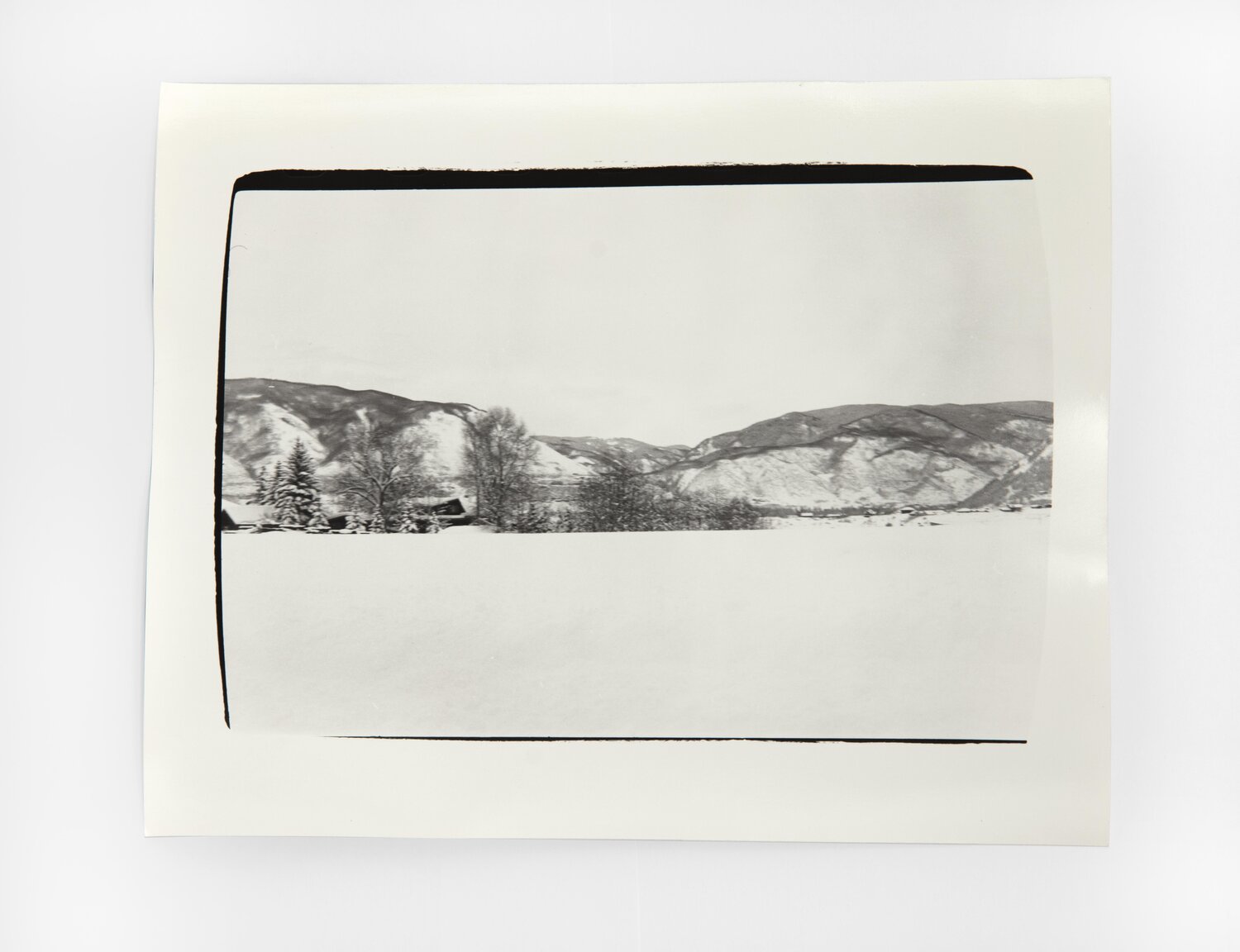 Aspen Colorado Landscape Andy Warhol Fotografia in vendita