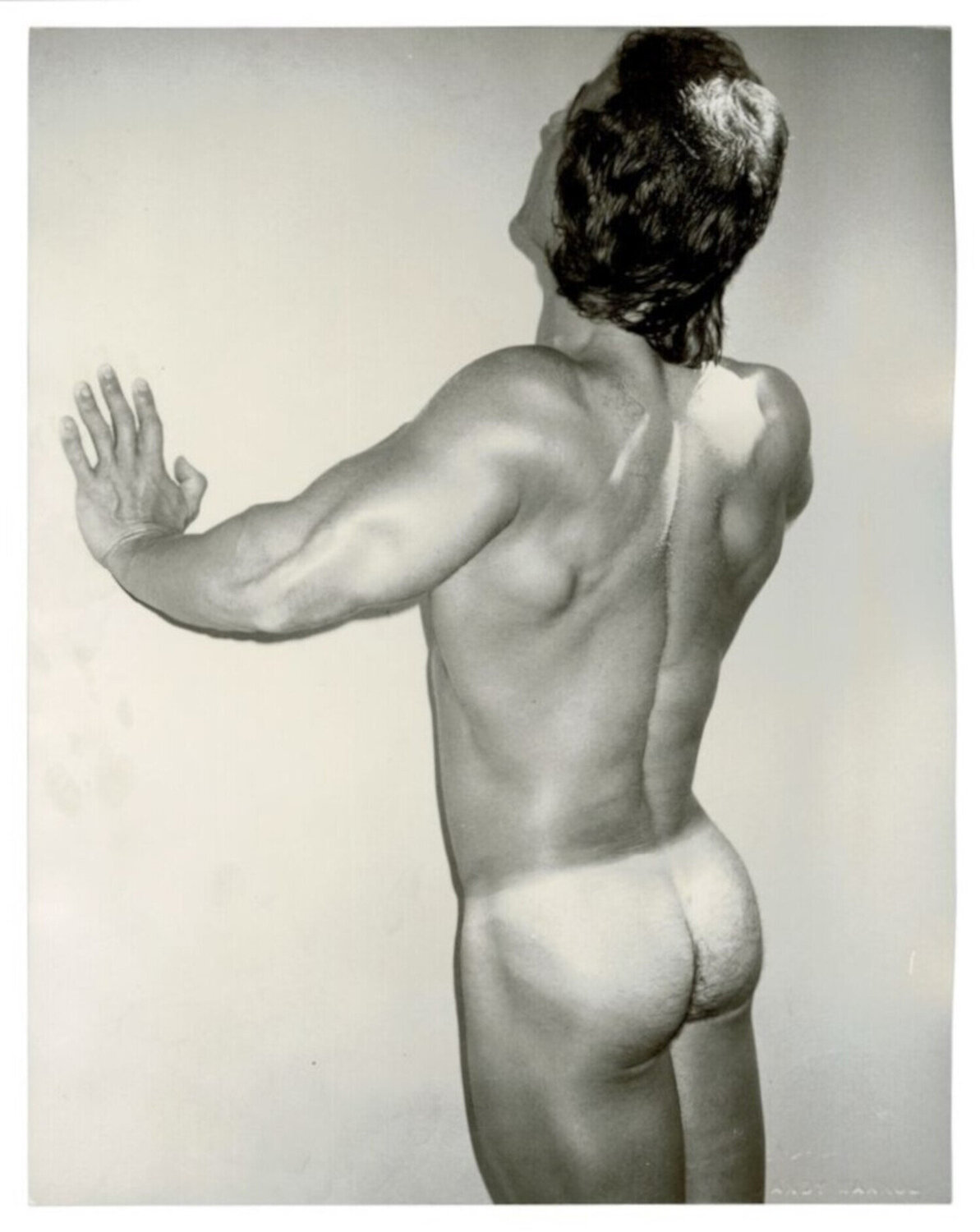 Bodybuilder Andy Warhol Photography for sale