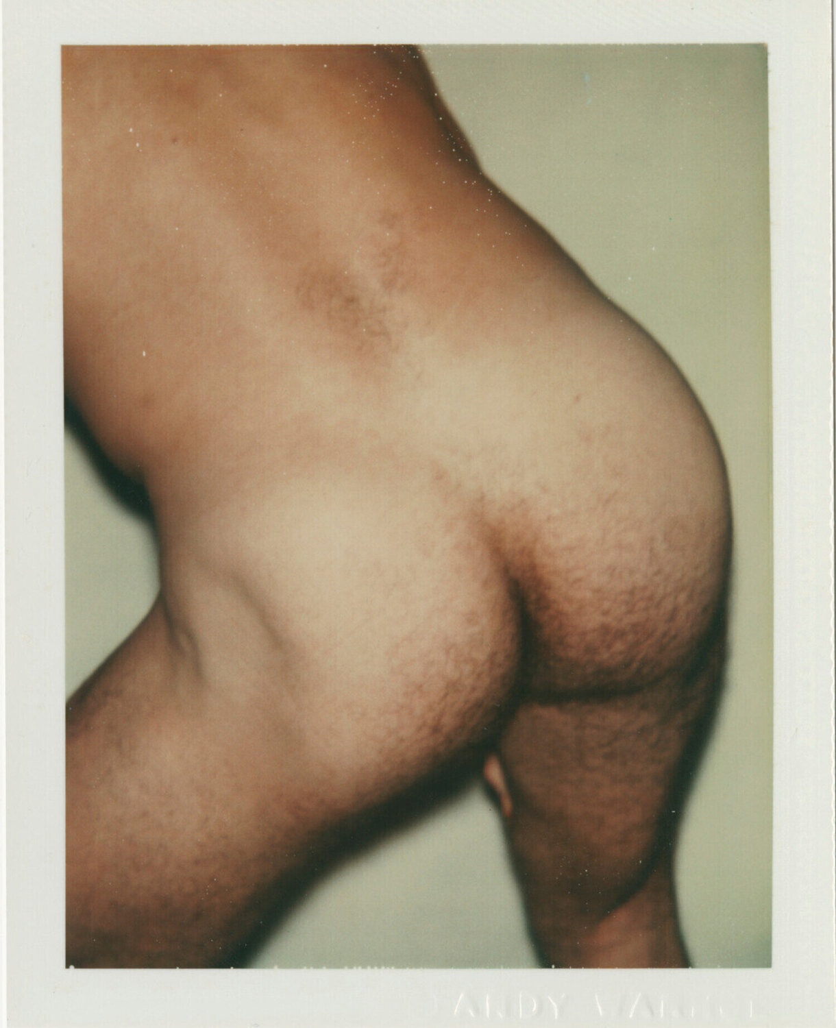 Sex Parts and Torsos Andy Warhol Fotografie zu verkaufen