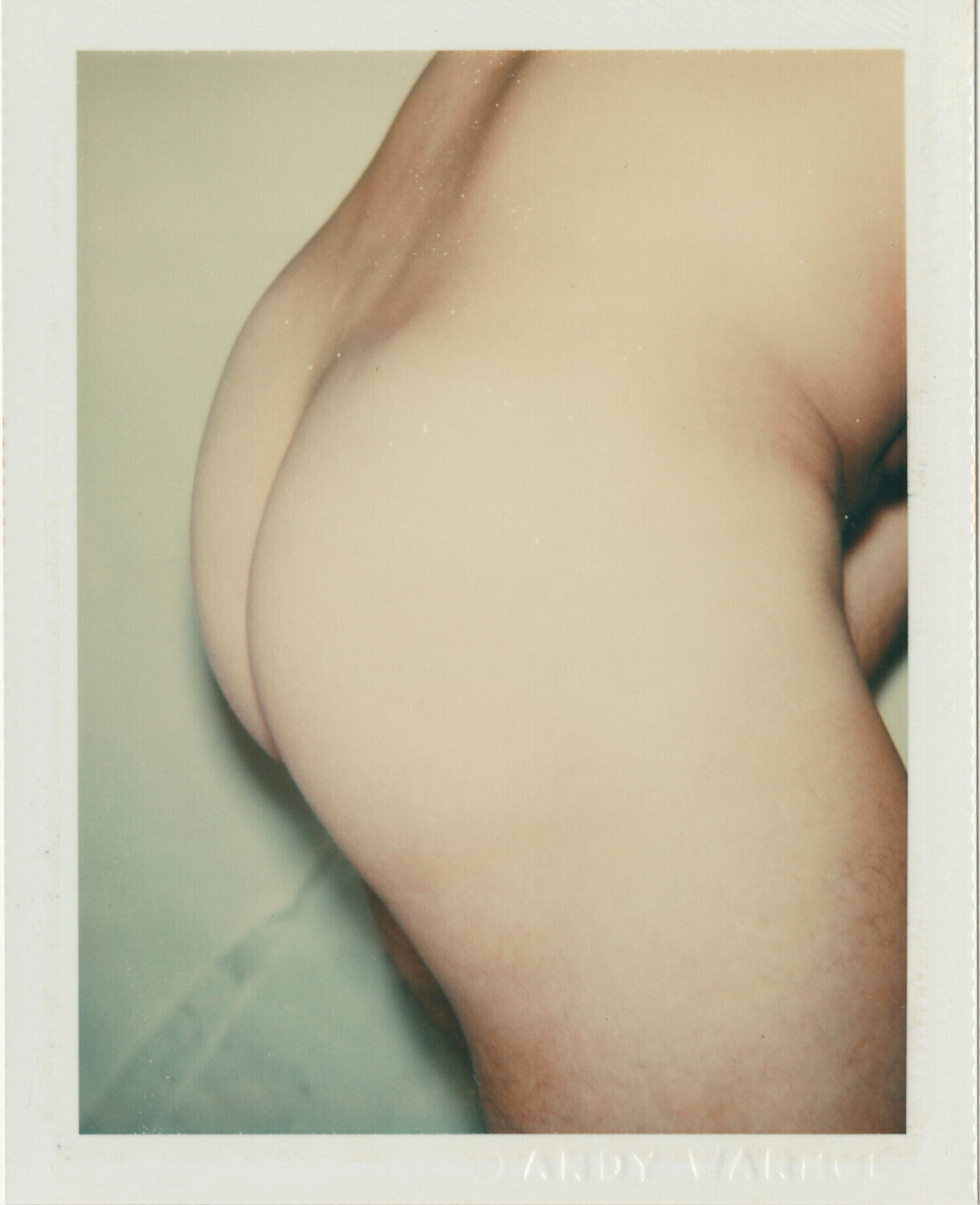 Sex Parts and Torsos Andy Warhol Fotografia in vendita