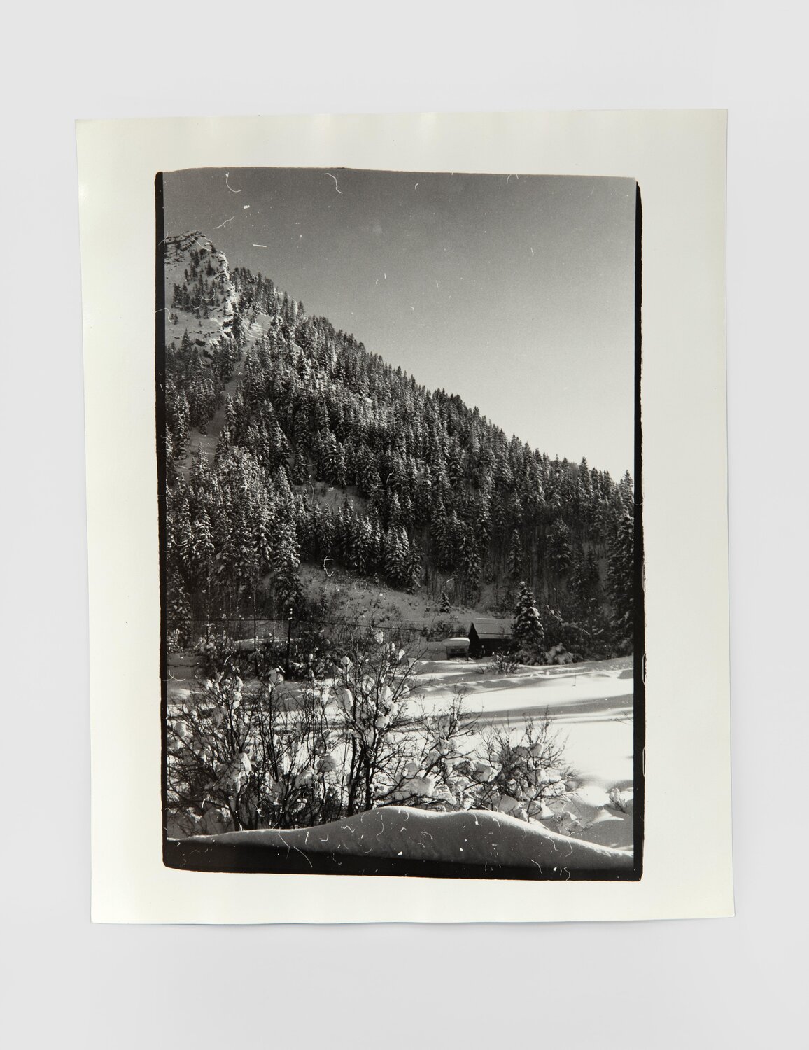 Aspen Colorado Landscape Andy Warhol Fotografia in vendita