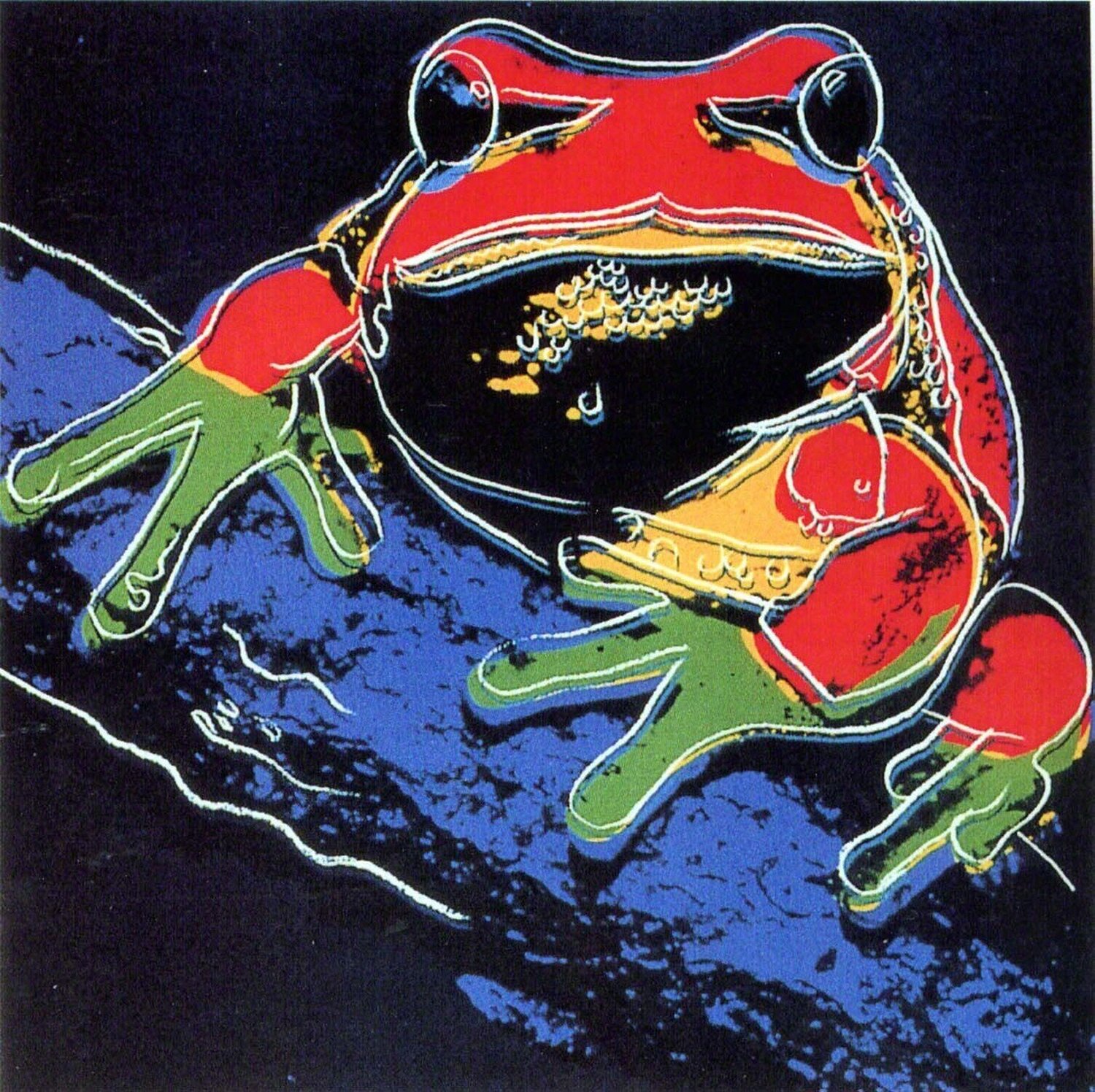 Pine Barrens Tree Frog (FS II.294) Andy Warhol Afdruk te koop