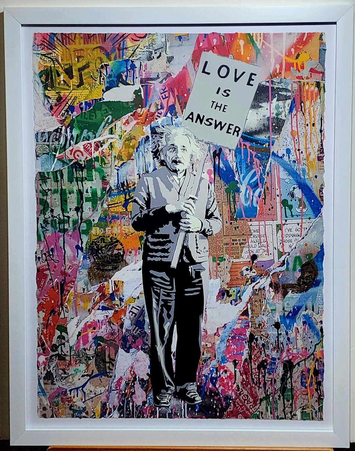Einstein Mr. Brainwash Andere media te koop