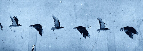 neg◊marey_09 van Thomas Ruff, Fotografie te koop op Singulart