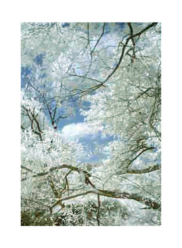 jpeg ti01 van Thomas Ruff, Fotografie te koop op Singulart