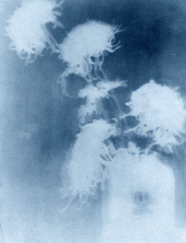 neg◊stil_17 van Thomas Ruff, Afdruk te koop op Singulart