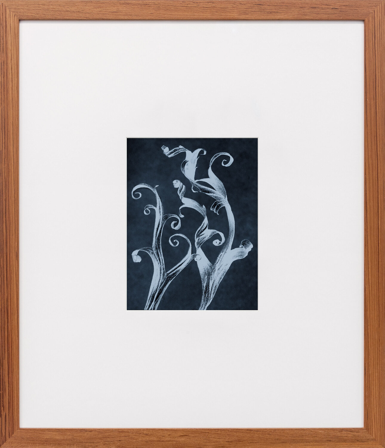 neg◊stil_06 Thomas Ruff Afdruk te koop