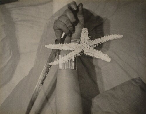 L'etoile de Mer (The Starfish) di Man Ray, Fotografia in vendita su Singulart