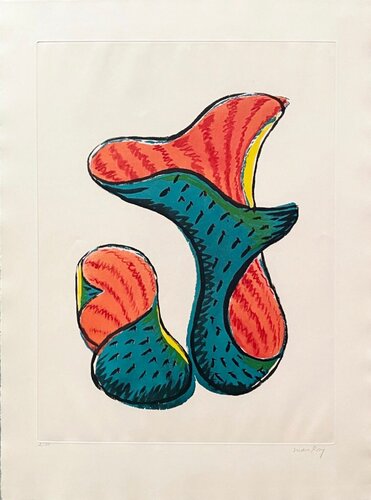 Transfiguration d'un cactus by Man Ray, 인쇄 for Sale on Singulart