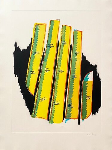 Transfiguration d'un cactus by Man Ray, 인쇄 for Sale on Singulart