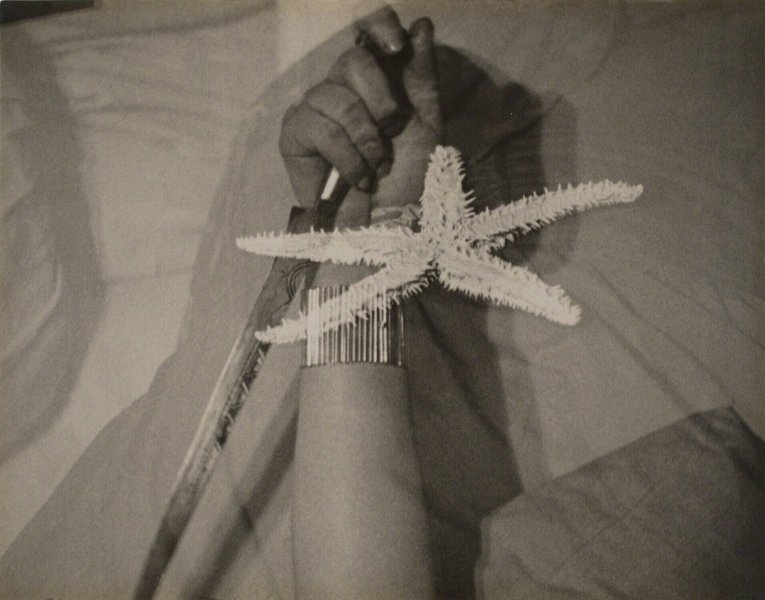 L'etoile de Mer (The Starfish) Man Ray Fotografia in vendita