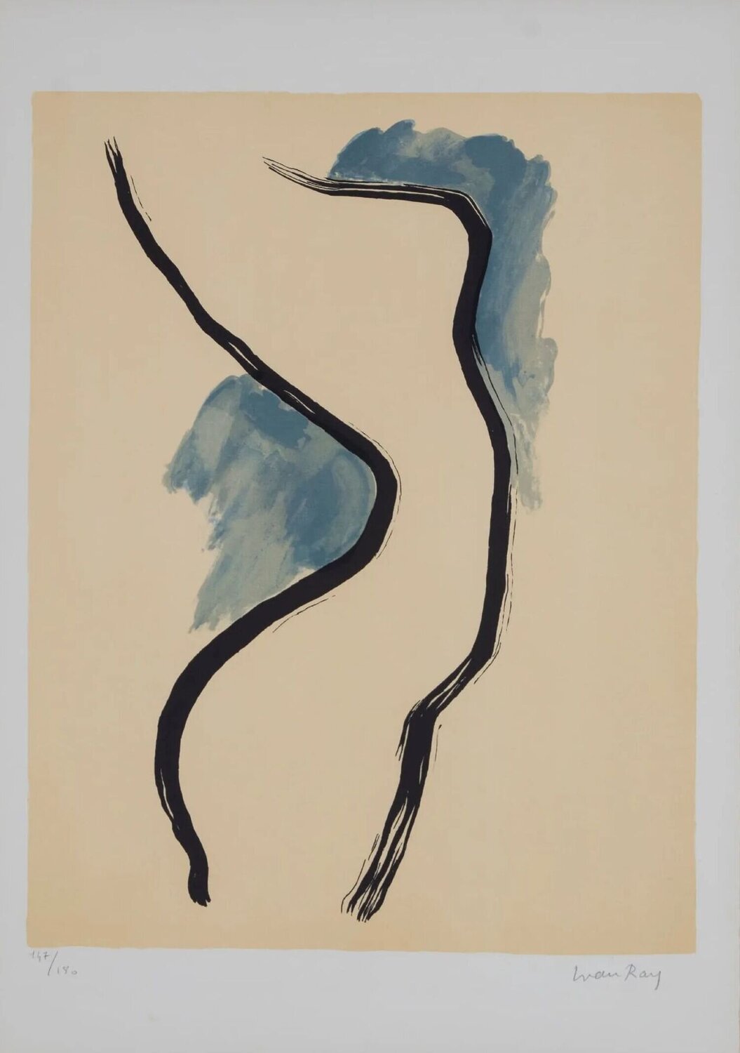 Untitled (from On the Origin of Species by Irrational Selection) Man Ray Druck zu verkaufen