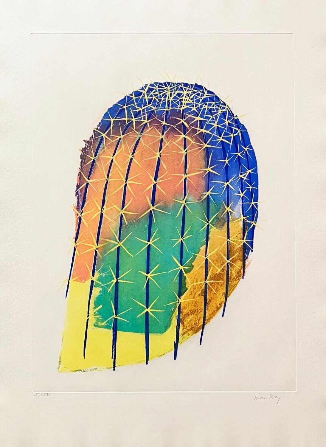 Transfiguration d'un cactus Man Ray Druck zu verkaufen