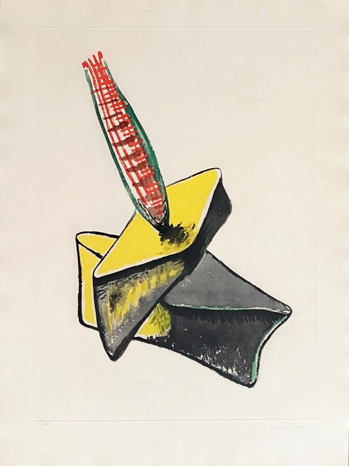 Transfiguration d'un cactus Man Ray Stampa in vendita