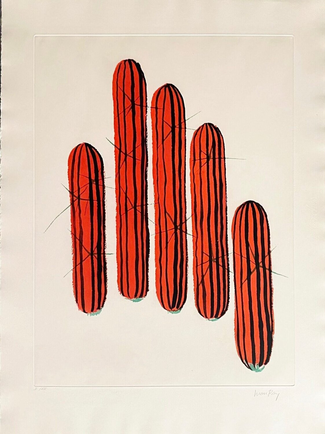 Transfiguration d'un cactus Man Ray Stampa in vendita