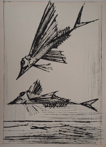 Poissons volants, Gravure originale by Bernard Buffet, Print for Sale on Singulart