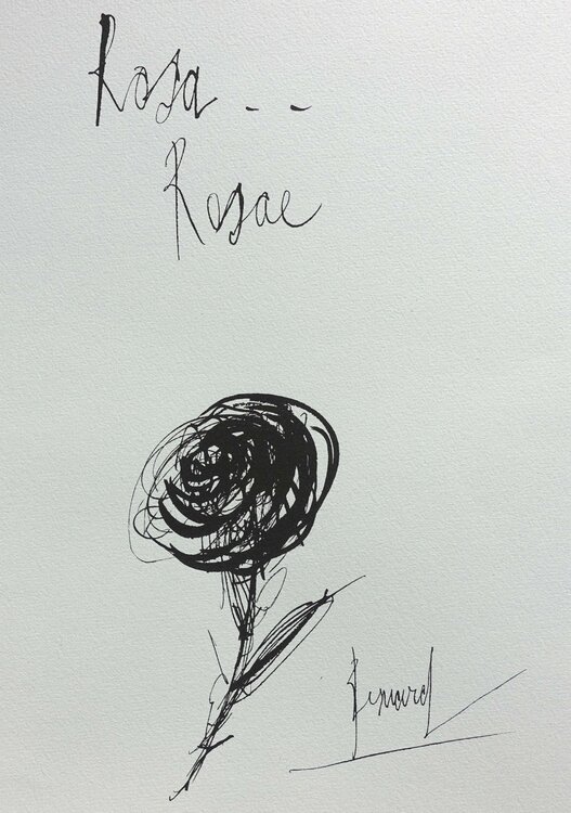 Rosa Rosae Bernard Buffet