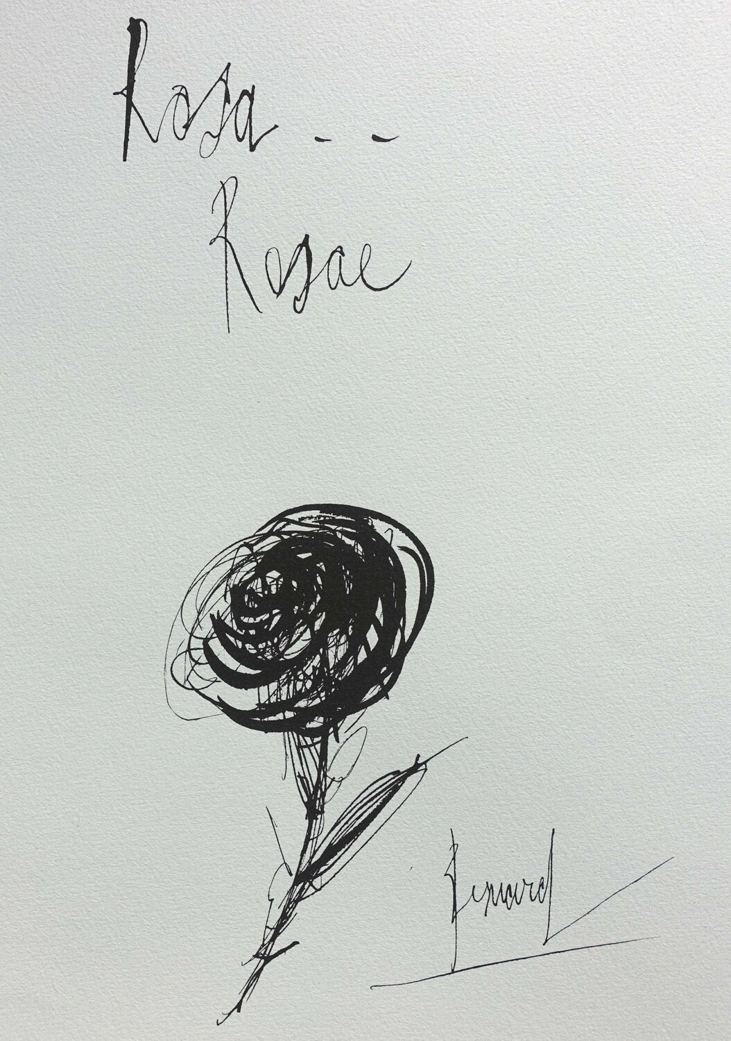 Rosa Rosae Bernard Buffet
