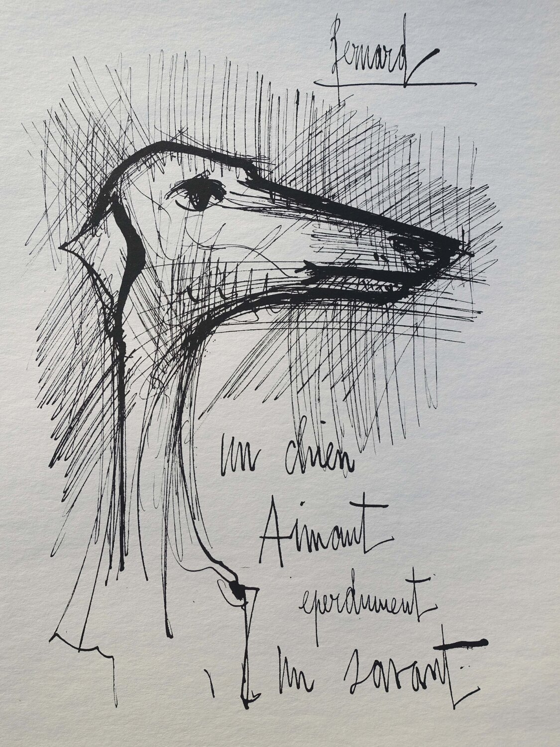 Le chien Bernard Buffet