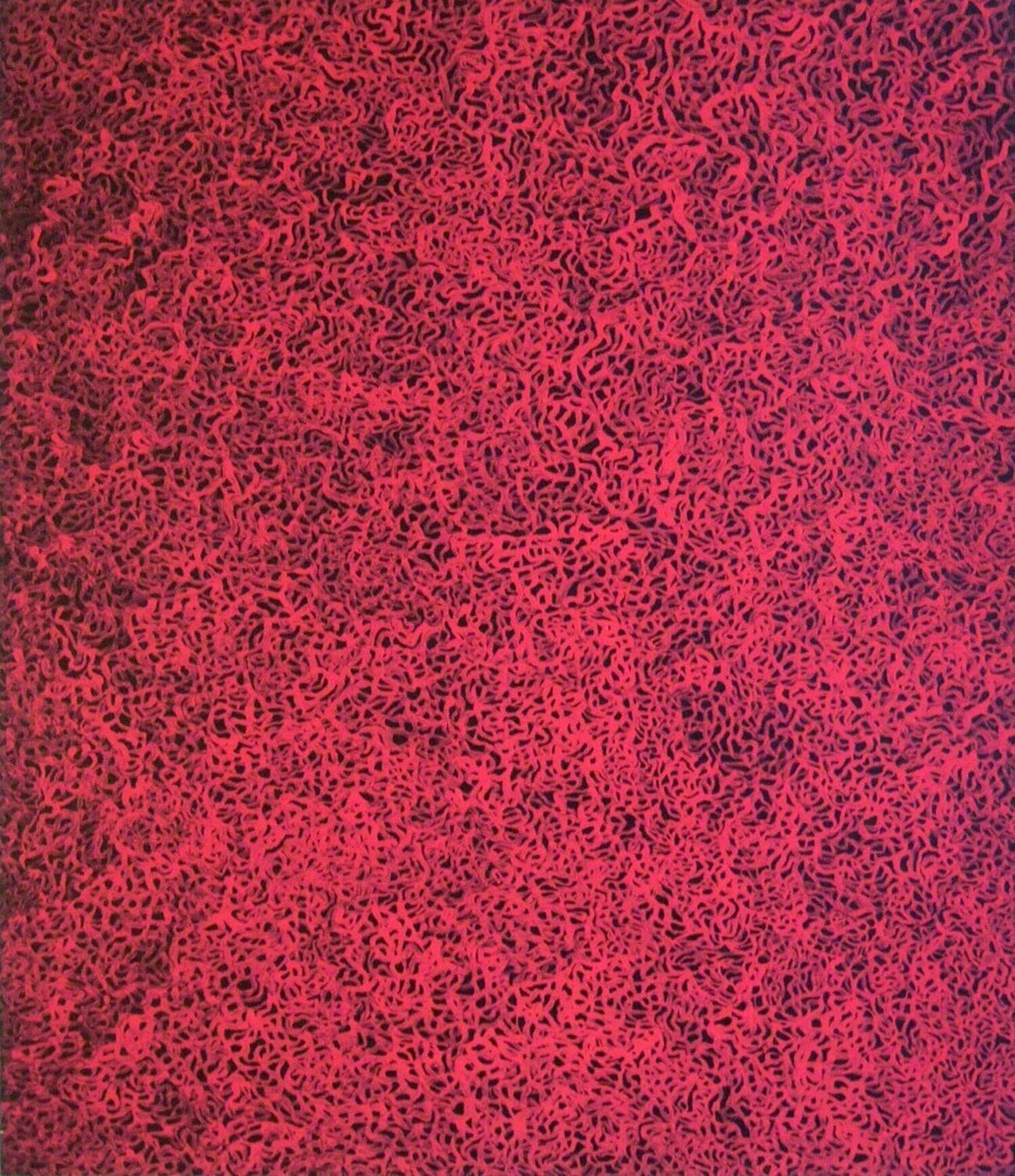 Rain in the  Evening Glow Yayoi Kusama Stampa in vendita
