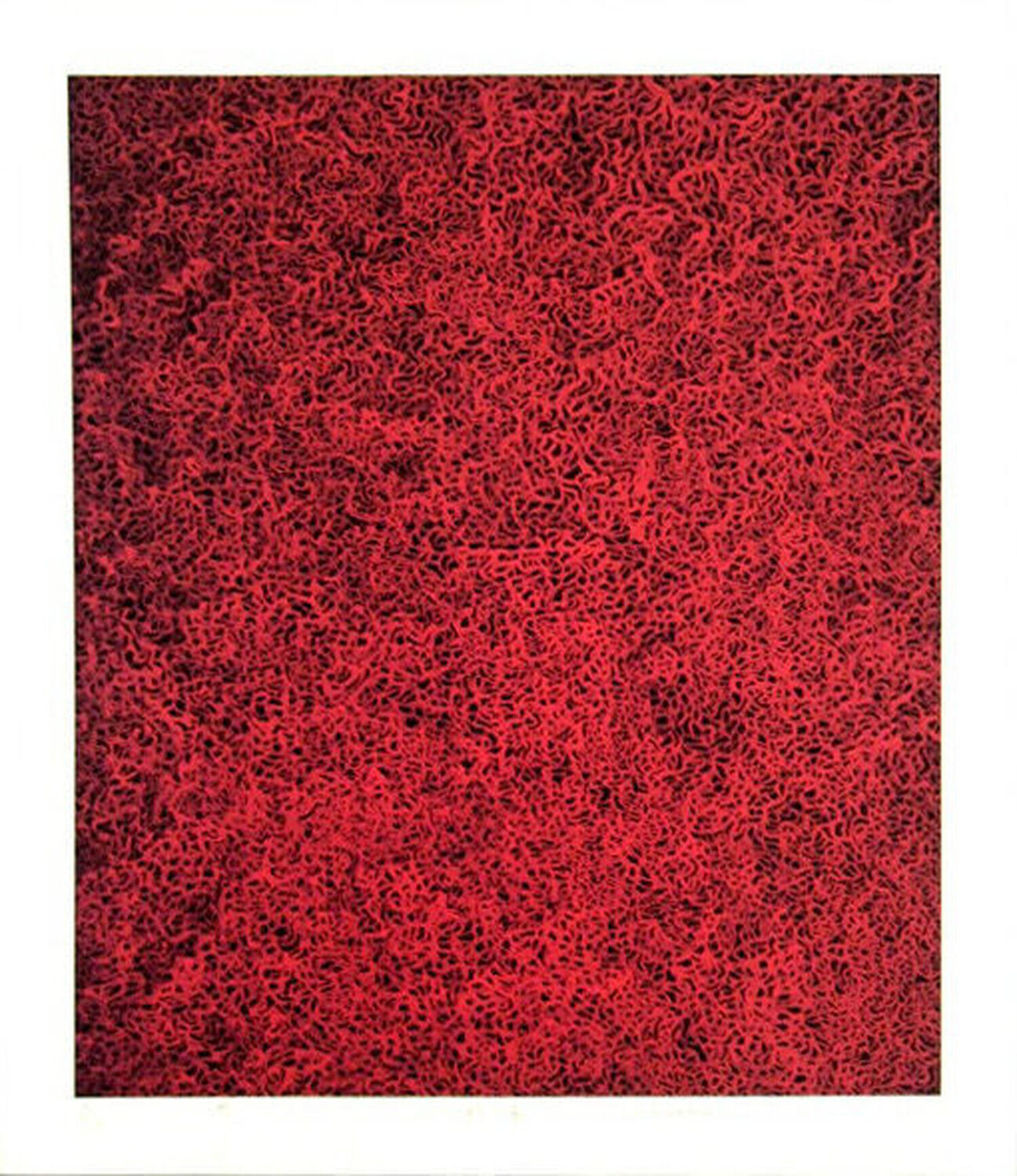 Rain in the evening Glow- Raisonne No. 171 Yayoi Kusama Druck zu verkaufen