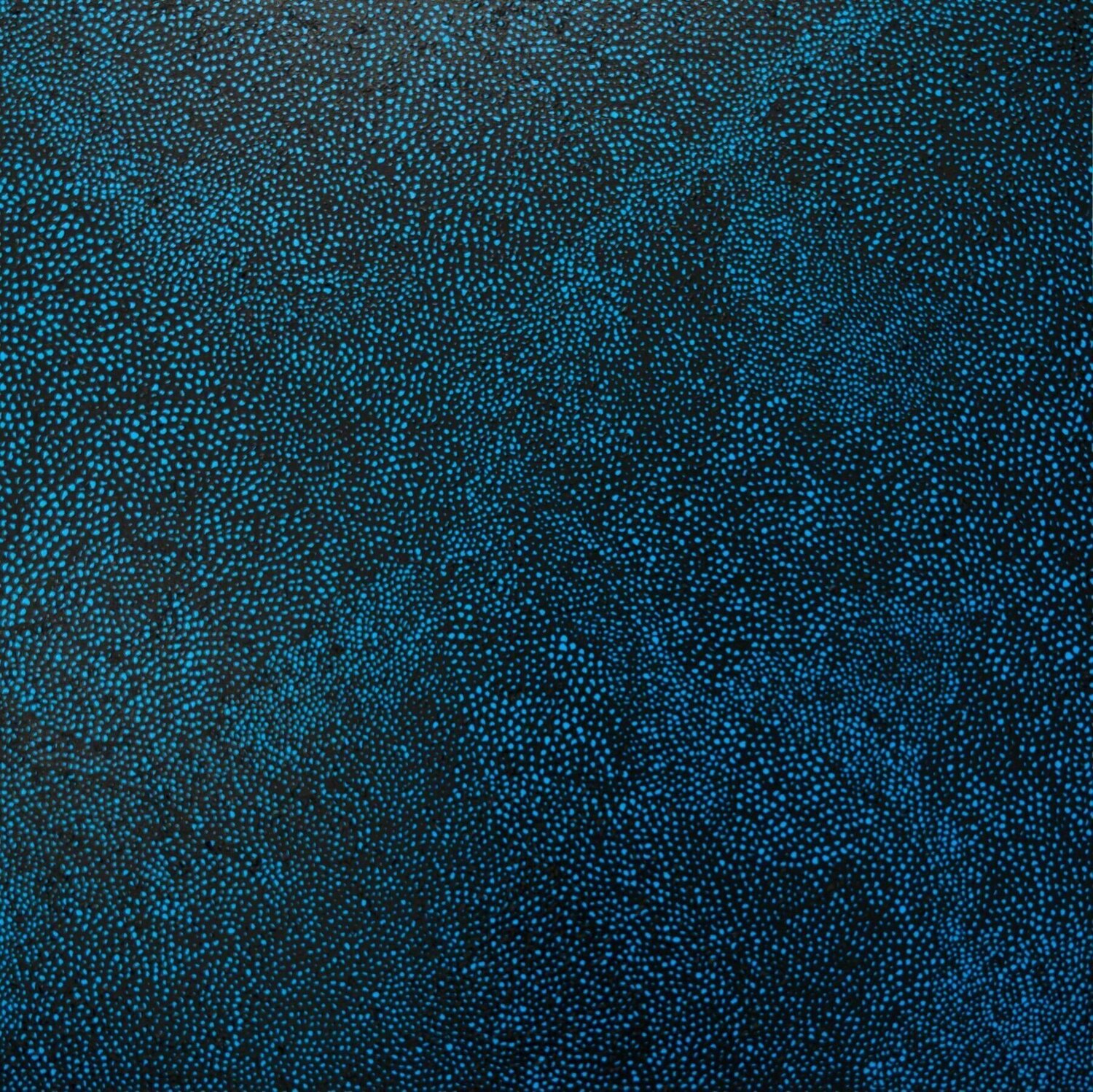 Blue Sky in the Midnight Yayoi Kusama Dipinto originale in vendita