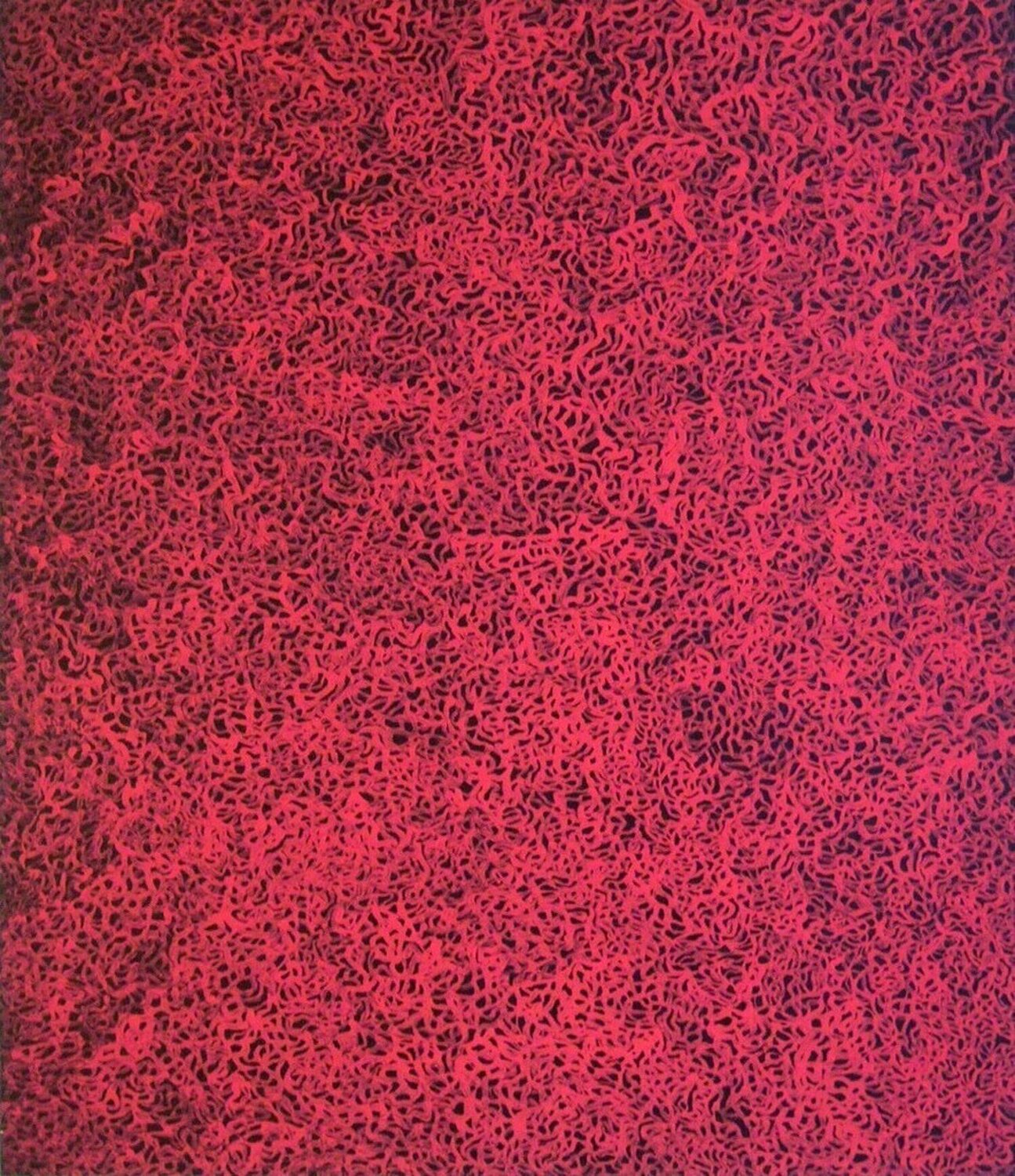 Rain in the Evening Glow Yayoi Kusama Druck zu verkaufen
