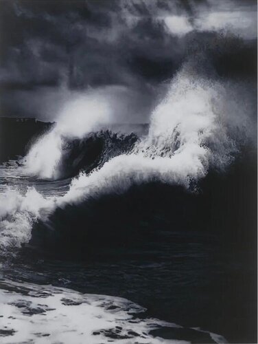 Faneel di Damien Hirst, Fotografia in vendita su Singulart