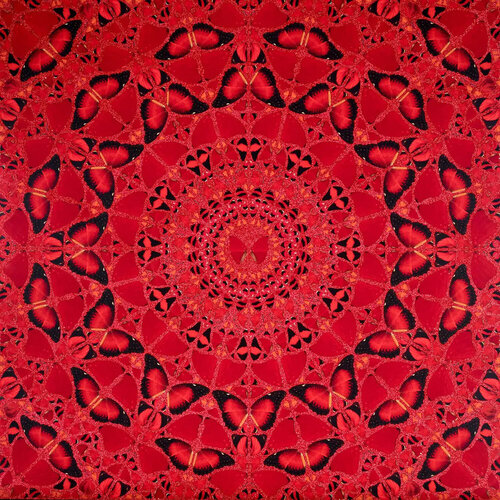 H10 - 4 Suiko (The Empresses) Damien Hirst