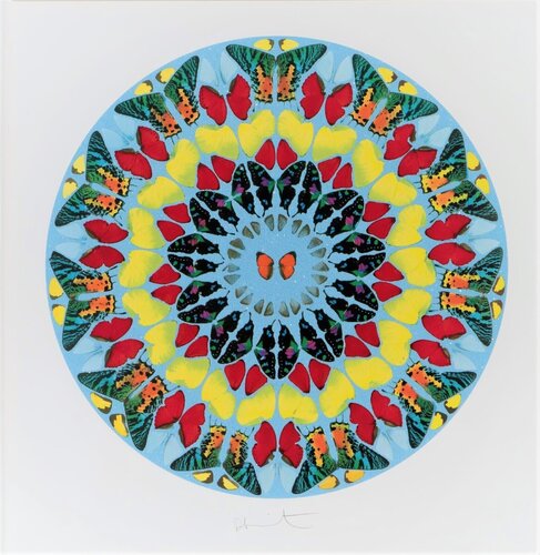 Dixit Insipiens (Artist Proof) par Damien Hirst, Édition en vente sur Singulart