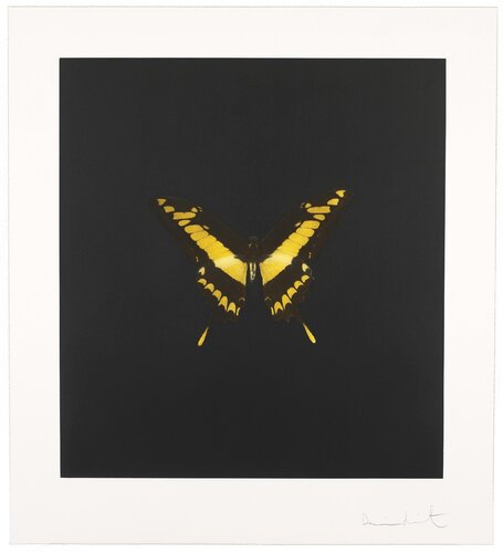 The Souls on Jacob's Ladder Take Their Flight par Damien Hirst, Édition en vente sur Singulart