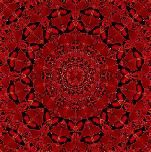 Suiko H10-4 (The Empresses) van Damien Hirst, Afdruk te koop op Singulart