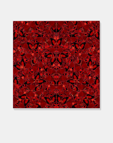 H10-3 Theodora par Damien Hirst, Édition en vente sur Singulart